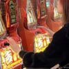 ホールで人気絶好調の「吉宗」