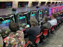 ニューギンが「PA野生の王国Ⅵ」の先行導入実施