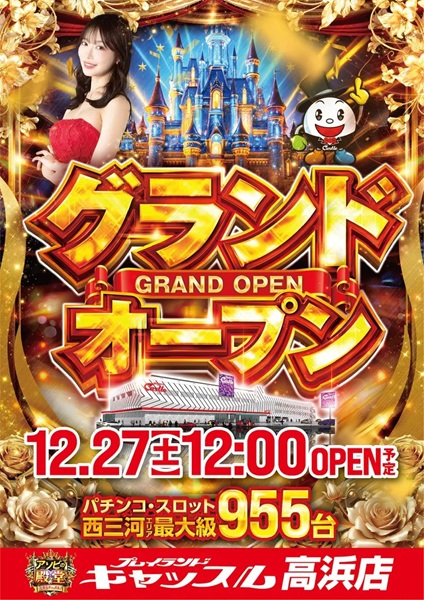 キャッスル高浜　グランドオープン入場券 12/28・1/2 キャッスル高浜 GRAND OPEN 入場券 - メルカリ