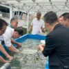回胴遊商九州・沖縄支部、サンゴ保全活動を実施