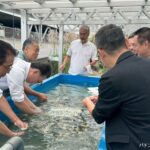 回胴遊商九州・沖縄支部、サンゴ保全活動を実施