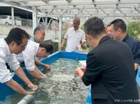 回胴遊商九州・沖縄支部、サンゴ保全活動を実施