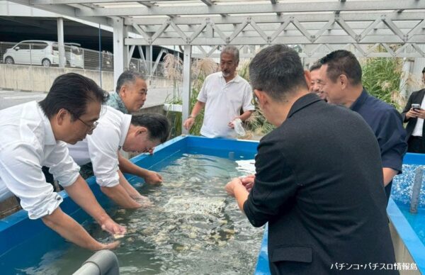 回胴遊商九州・沖縄支部、サンゴ保全活動を実施