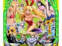 eフィーバーダンベル何キロ持てる？2 筐体画像