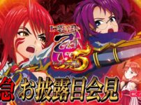 L戦国乙女5 業火を穿つ宿焔の双刃